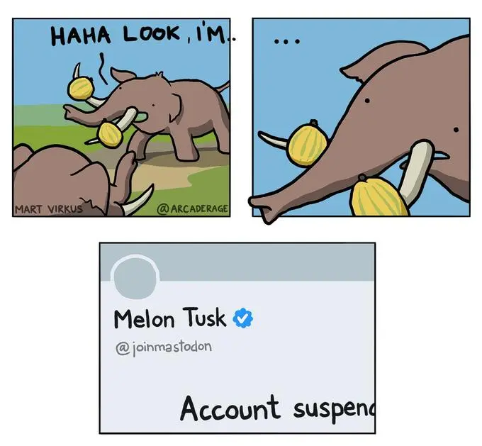 Melon Tusk meme