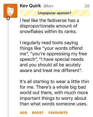 Snowflakes post